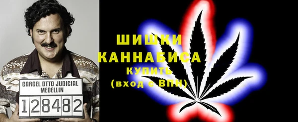 ПСИЛОЦИБИНОВЫЕ ГРИБЫ Аркадак