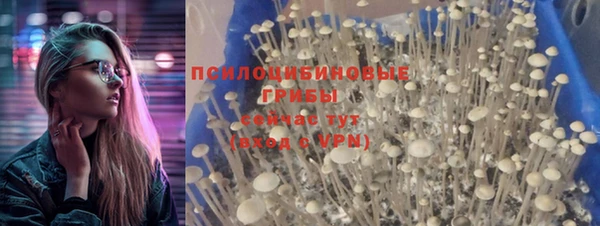 ПСИЛОЦИБИНОВЫЕ ГРИБЫ Аркадак