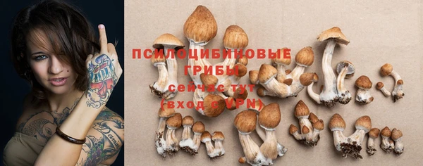 ПСИЛОЦИБИНОВЫЕ ГРИБЫ Аркадак