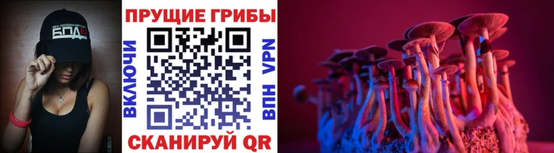 Псилоцибиновые грибы MAGIC MUSHROOMS  где продают   кракен зеркало  Спасск-Рязанский 